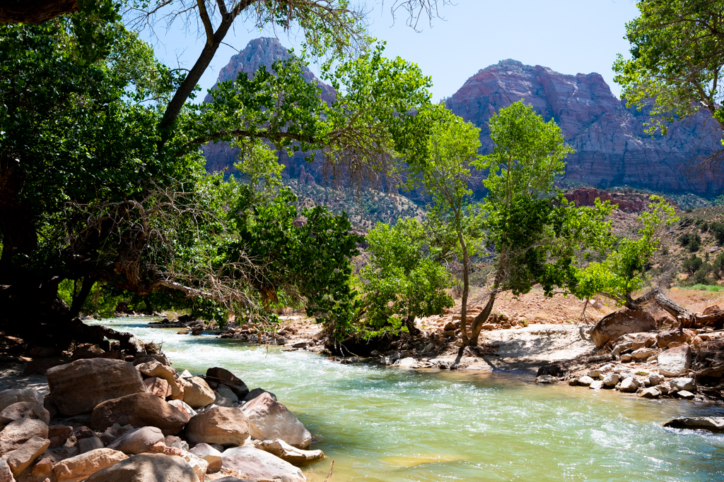 This image has an empty alt attribute; its file name is zion-06.jpg